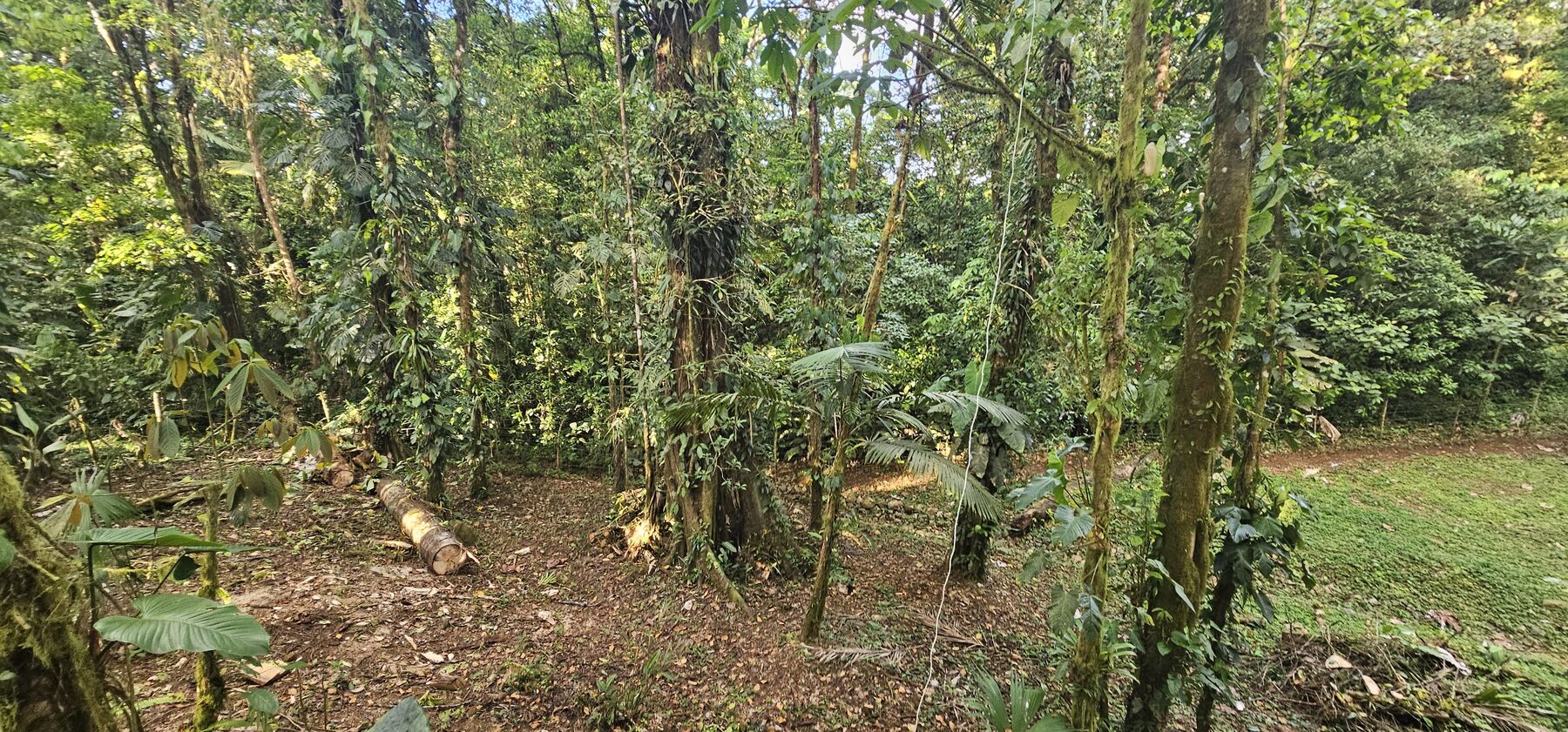 Rio Celeste glamping dome photo 1