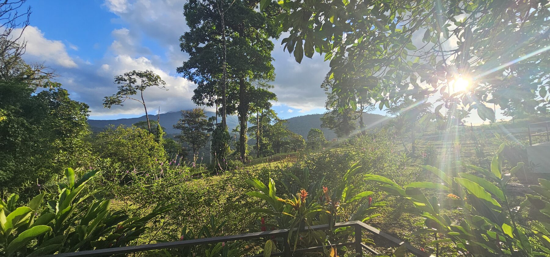Rio Celeste glamping dome photo 2