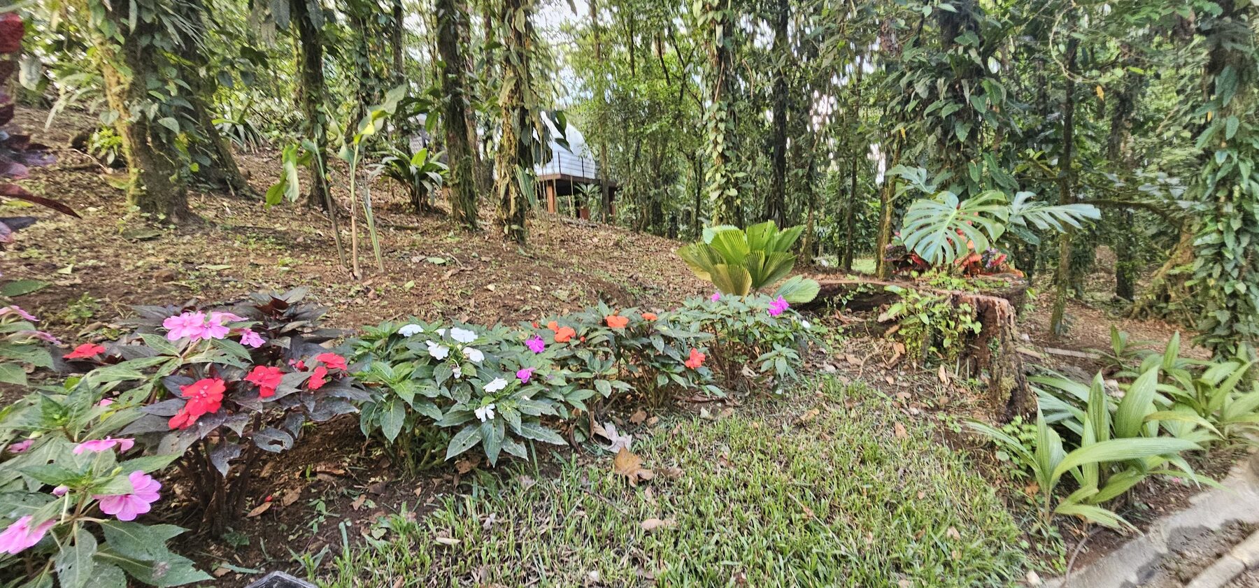 Rio Celeste glamping dome photo 3