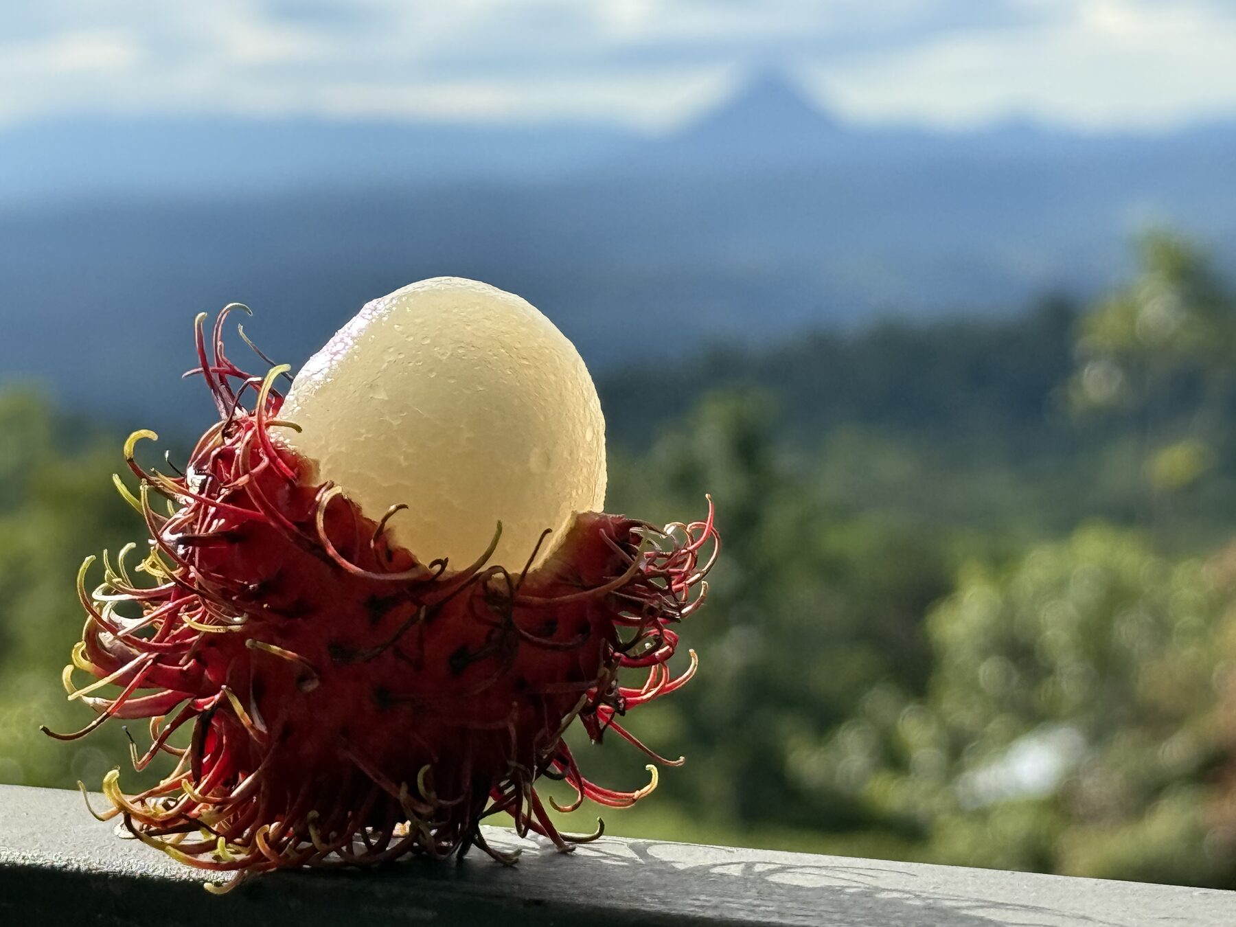 Rio Celeste glamping dome photo 8