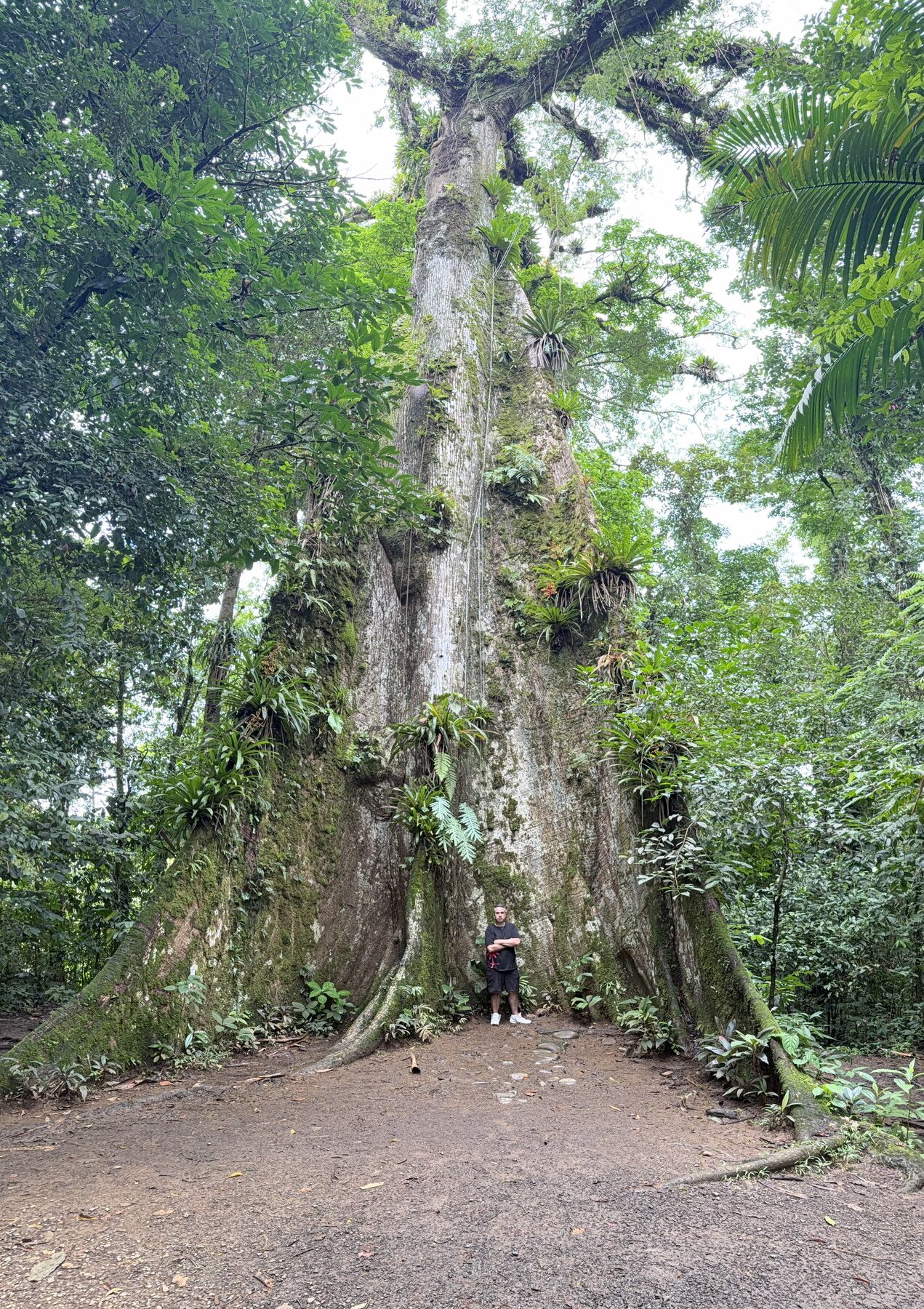 Rio Celeste glamping dome photo 19