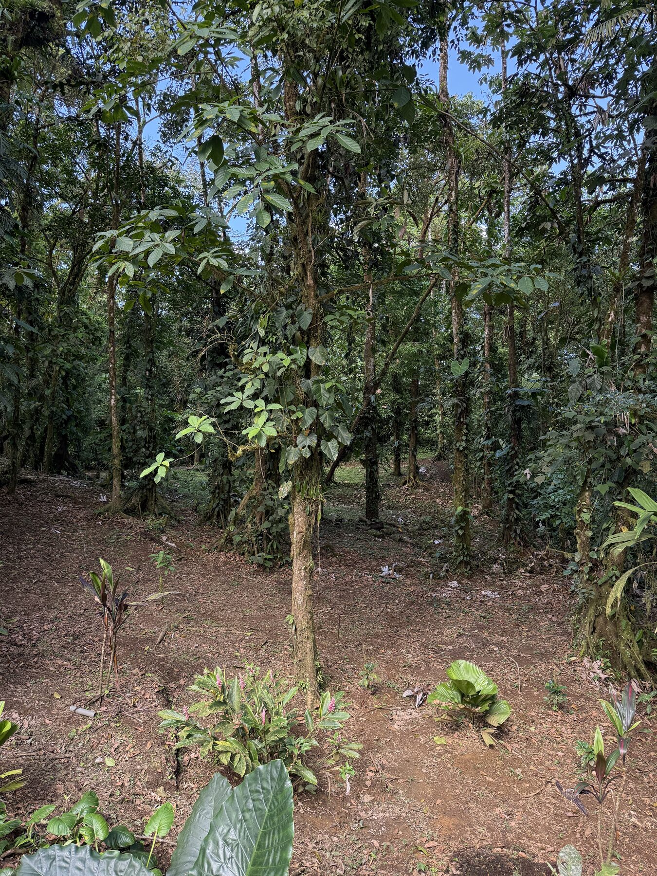Rio Celeste glamping dome photo 23