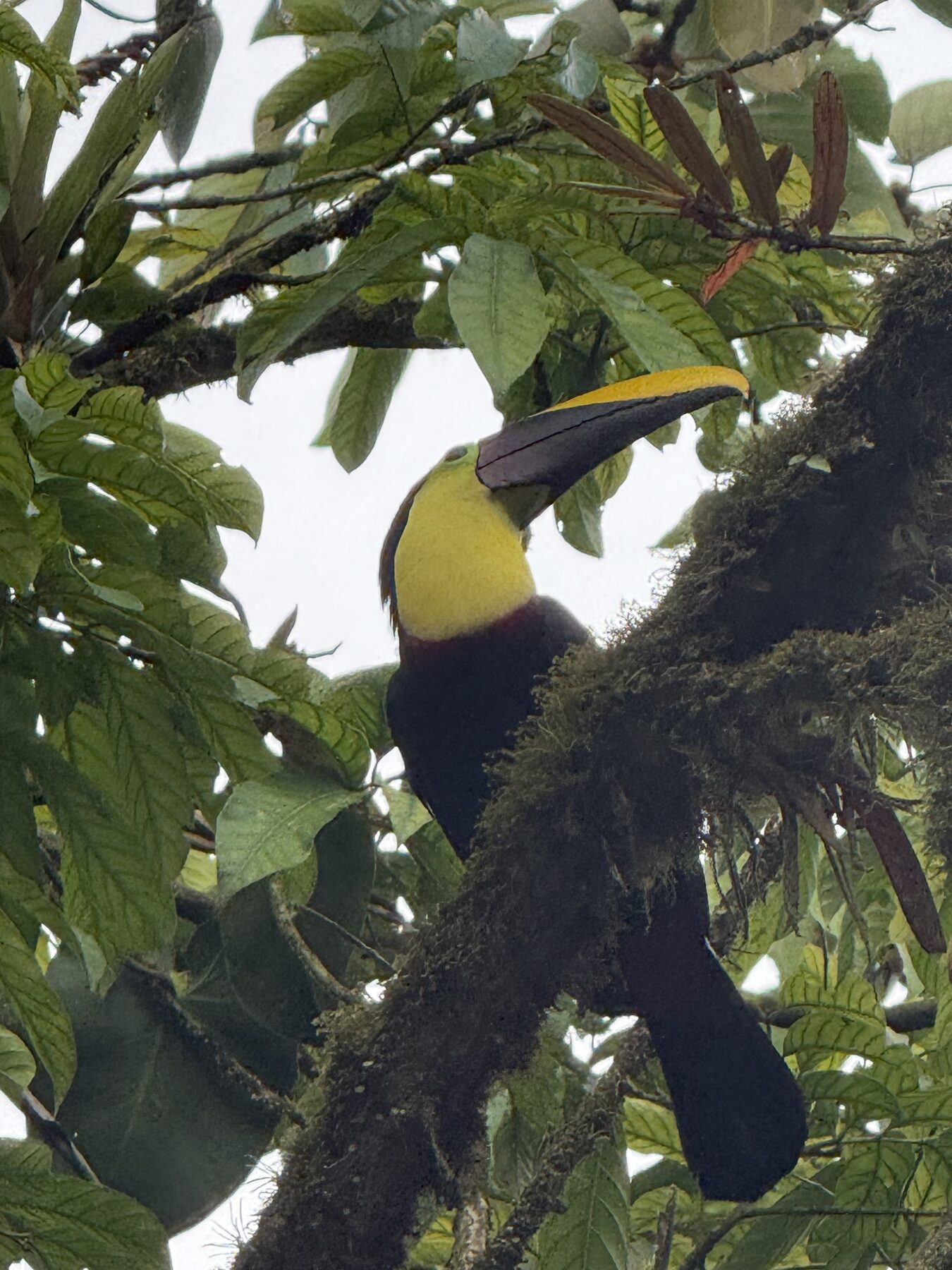 Rio Celeste glamping dome photo 26
