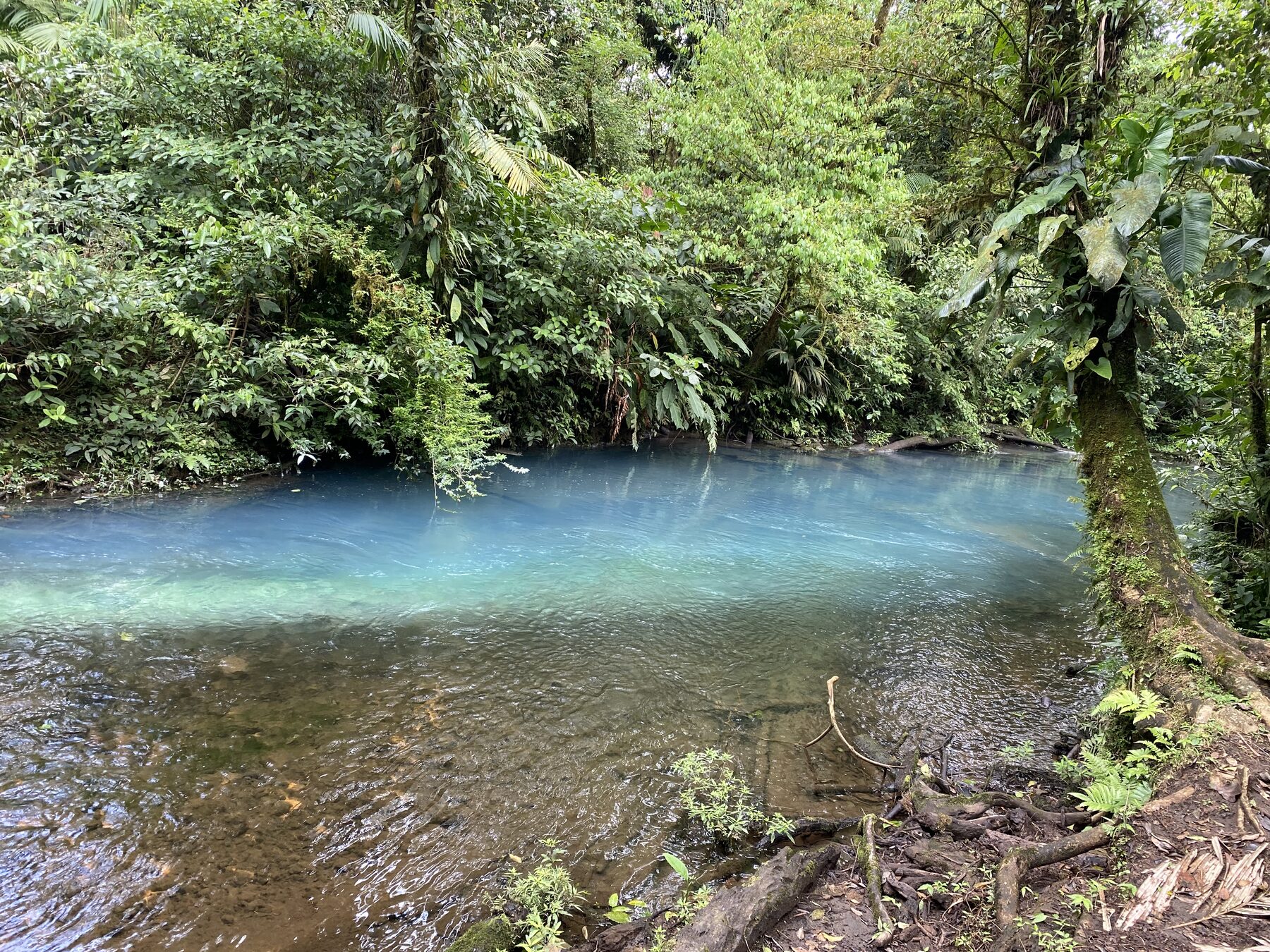 Rio Celeste glamping dome photo 31